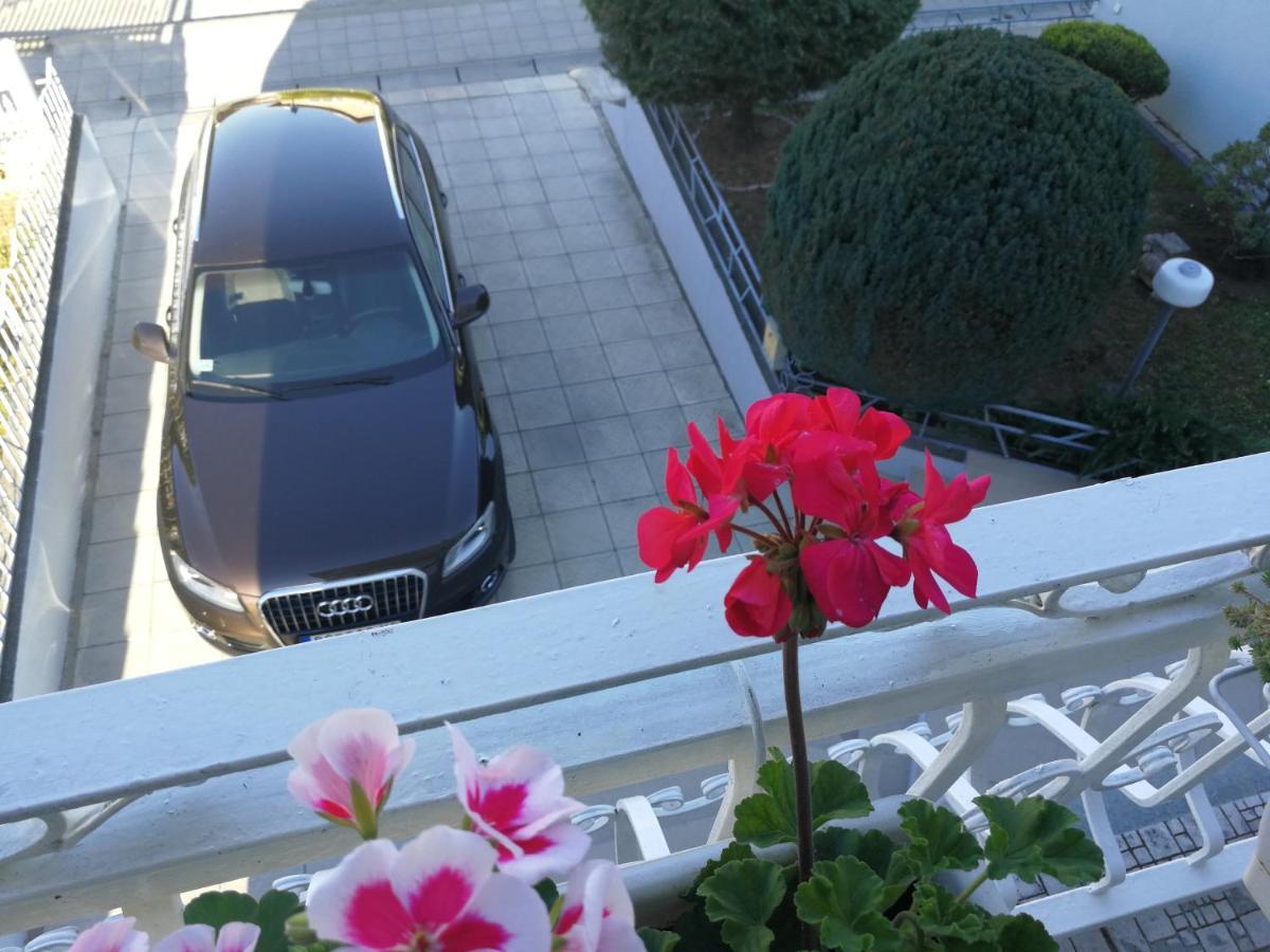 גולובאץ Apartmani Capi מראה חיצוני תמונה